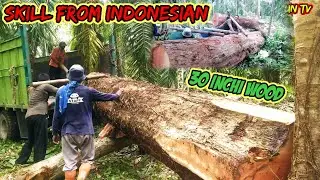 Skill Dewa Mobil Balok Part2 || Menaikkan balok durian besar ke atas mobil gerobak.