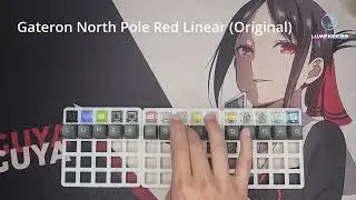 Ultimate Gateron Switches Sound Test 2023 | G Pro 3.0, Baby Kangaroo, Baby Raccoon, Luciola, KS-3...