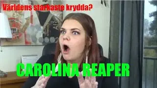 Lantzan testar världens starkaste krydda: Carolina Reaper