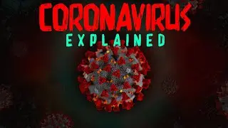 Coronavirus Explained!