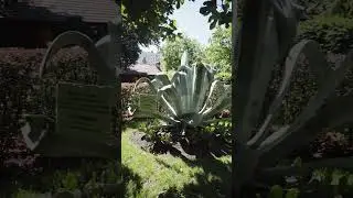 Красивый сад вокруг ресторана Ментона.