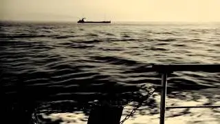 Lo'Jo - "Au bar des lilas" - 310 LUNES (Feat Erik Truffaz) Official Video Clip
