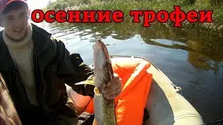 ЖЕСТЬ!!! ВОТ ЭТО РЫБАЛКА!!! ОСЕННИЙ ЖОР ХИЩНИКА ..... Рыбак 35