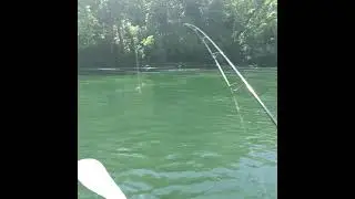 Floating the White River