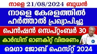 നാളെ 13 ജില്ലകളിൽ ഹർത്താൽ പ്രഖ്യാപിച്ചു|പെൻഷൻ സെപ്റ്റംബർ 30 മറക്കല്ലേ|Kerala Harthal|Onam pension
