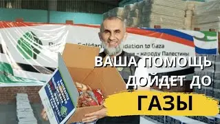 Помощь для Сектора Газа | Солидарность