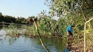 Спасение гуся. Брянская область. Село Юдиново.