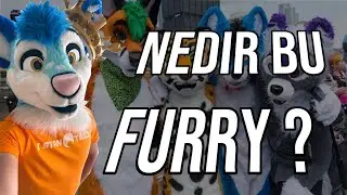 FURRY NEDIR?