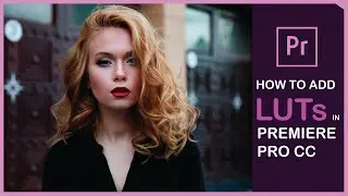 How To Add LUTS In Premiere Pro CC