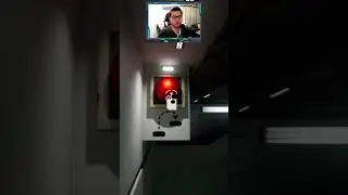 Escapando de un pajaro asesino