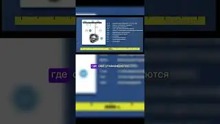 Как каннабиоиды попадают внутрь клетки? 