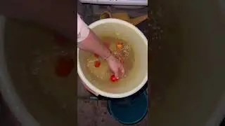 Картошечка запеченная на костре