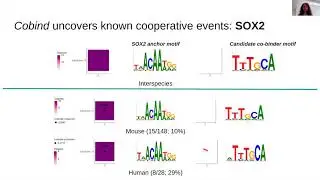 Identification of transcription factor... - Ieva Rauluseviciute - RegSys - Talk - ISMB/ECCB 2021