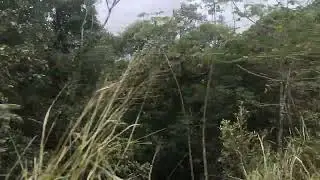 21 de julho de 2023(1)