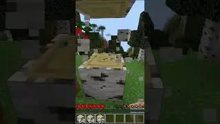 5 Cosas que todos hicimos NUESTRA PRIMERA VEZ Jugando #minecraft