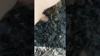 Из-за чего может гнить машина