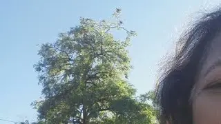 Hacı Bayramdan Eşsiz Su Gösterisi