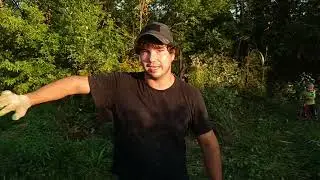 Купили крокодила