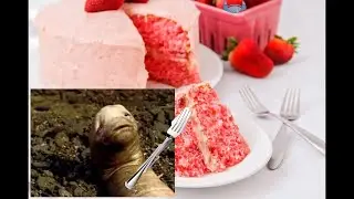 worm brunch