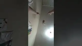 ПРОСЛАВТЕ МИШКУ