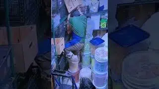 День не удался у парня