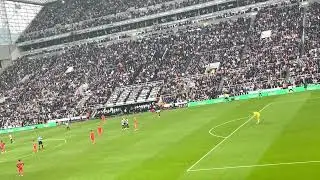 Newcastle fans when Denis Undav scored an own goal to make it 1-0 vs Brighton
