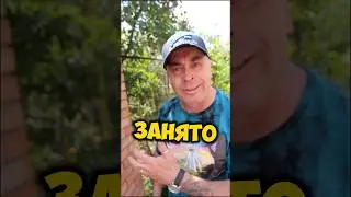 #кинотеатры