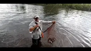 Ловля Окуня  на отводной поводок. Способы проводки .