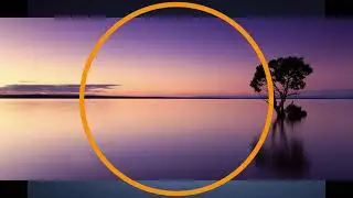 ADN projekt "Calmitude"