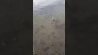 Как легко наловить раков. 