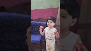 Tamator bary mazadar