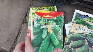 Конец апреля/1 мая. Дачные будни начинаются.