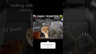 Cat Memes: Roadtrip to Grandma PT. 5 |