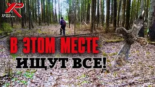 ВСЁ НЕ ПЕРЕВЫБИТЬ! ЧТО ТО ДА НАЙДЁМ! Коп монет с XP ORX