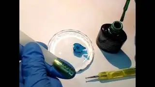 Мастер-класс 