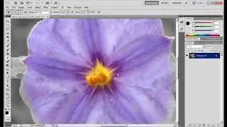 Photoshop Tutorial, Lesson 5: Using color for emphasis