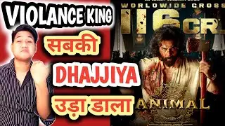 Animal Movie Worldwide Box Office Collection, Animal 1st Day Collection, Animal 1st Day Worldwide