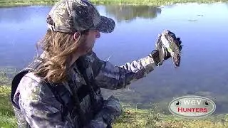 Arizona Duck Hunting 2019! Mallard, Pintail, Teal and more!