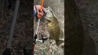 We love the big big fish. #bassfishing #bigfish #keep hammering ep
