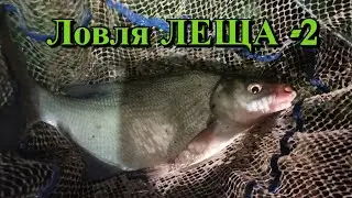 Много корма Много леща! Часть 2-ая!