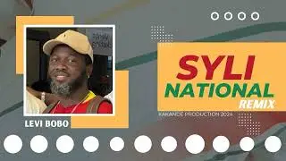 Levi Bobo - Syli National (Remix) | Clip audio