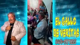 El Gallo de Veritas Cantando