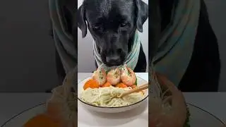 O Negão se alimentando