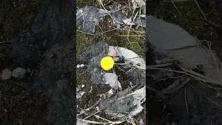 Все. Началось