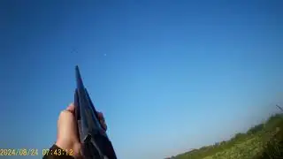 Открытие по перу 24 08 2024