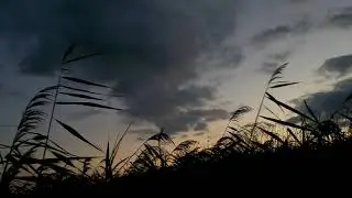 Охота на уток.