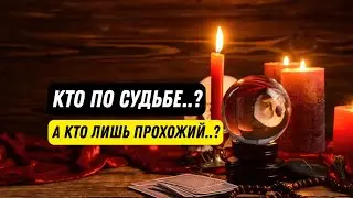 🎩❤️New People in Your Life.. Who⁉️Why⁉️For How Long⁉️The Future of Relationships..🧿TAROT NEMO Spread