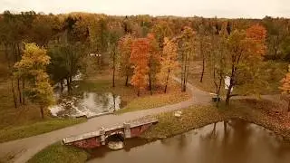 Осень город Пушкин с дрона