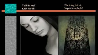 Bài thơ Gửi người dưới mộ - Đinh Hùng