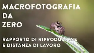 #01 MACROFOTOGRAFIA da ZERO: rapporto di riproduzione e distanza di lavoro